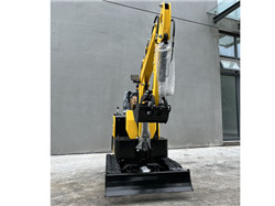 _Supplier home depot excavator rental cost